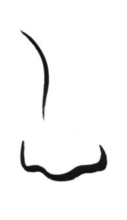 An extremely simple nose illustration.